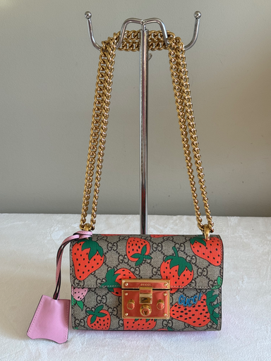 Padlock Cherry Chain bag